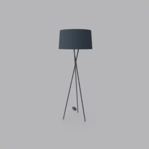 Tripod Light